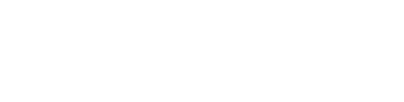 American Generator Services