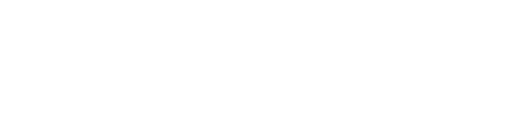 Allegiant Generator Services